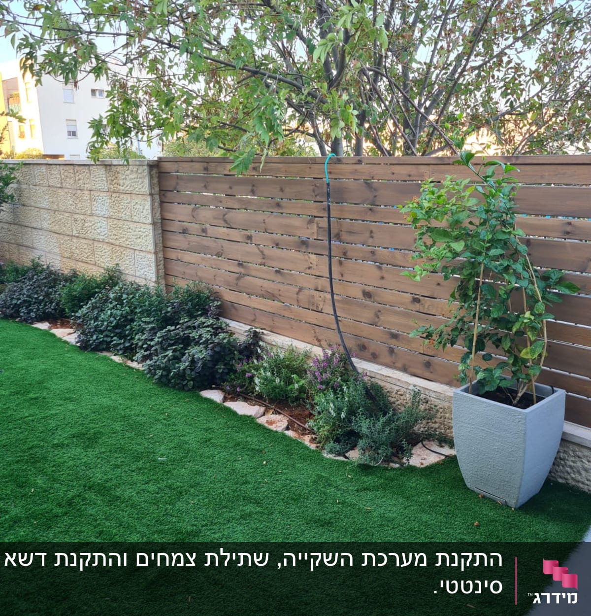 גינה עם דשא סינתטי, עציצים וצמחים מטופחים